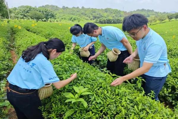 【中国教育新闻网】武汉理工大学：把船“开”进了乡村课堂